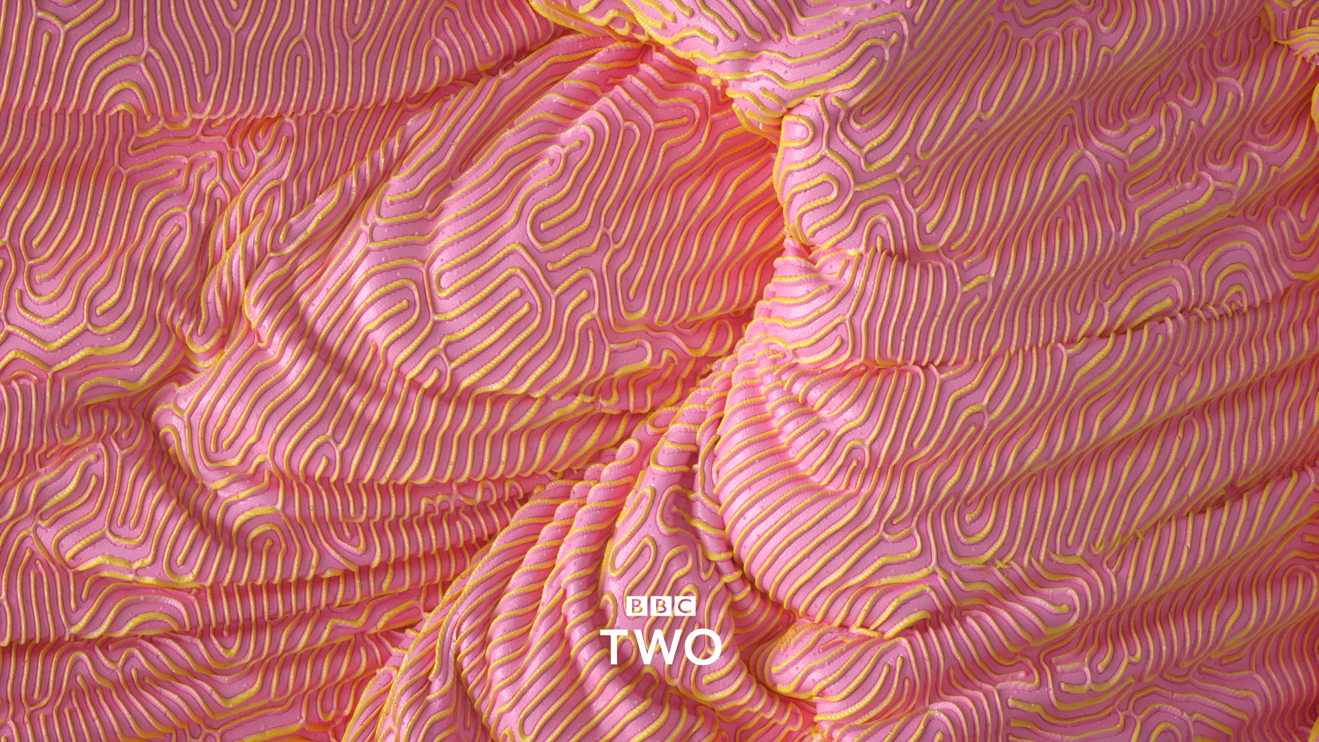 BBC_two_11