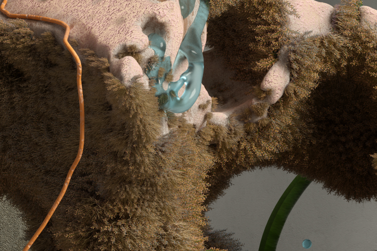 Naturamorta_detail_01